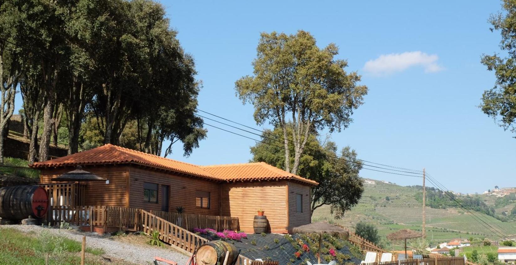 Вилла Quinta Da Bandeira - Casa De Ferias No Douro Martir Экстерьер фото
